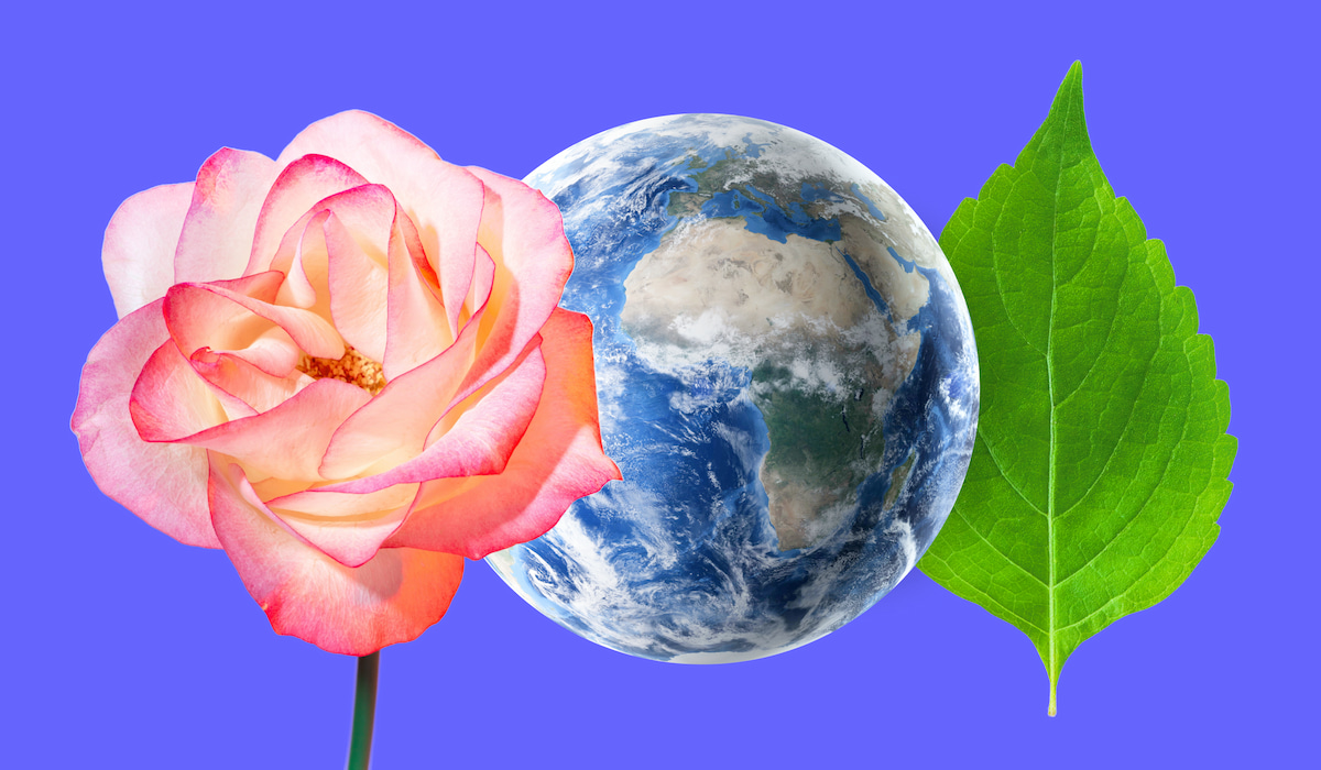 Salesforce Net Zero Cloud Best Practices to Go Green